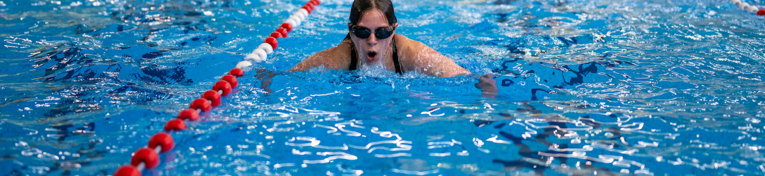 zwemverenigingen-header